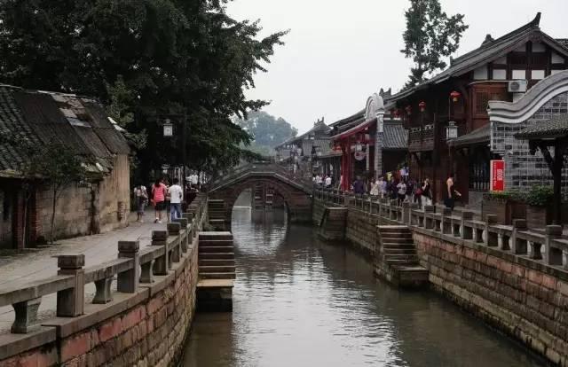 迷你淘气猪逃脱